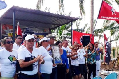Minindustria Pedro Plaza seis años Vanguardia Nacional