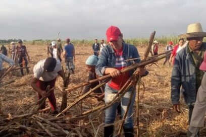 Los trabajadores de Granma en Primero de Mayo