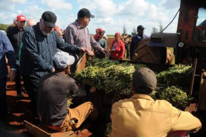 La producción y la eficiencia no dependen de cigüeñas salvadoras