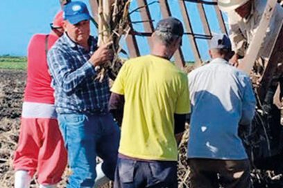Homenaje a la dignidad, la solidaridad y a la independencia