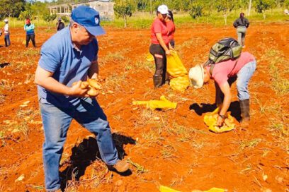 Primero de Mayo, saludarlo trabajando