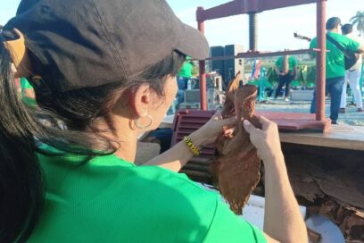 Desde Villa Clara celebran día del trabajador tabacalero