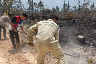 Batallan contra incendio de grandes proporciones en San Juan y Martínez