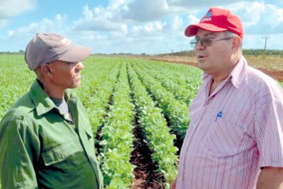 Guajiros como los González