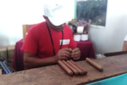 Apuestan tabacaleros camagüeyanos por incrementar exportaciones