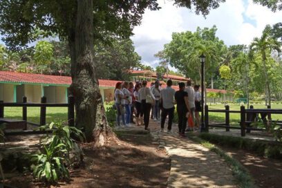 Listo para etapa estival hotel artemiseño Las Yagrumas