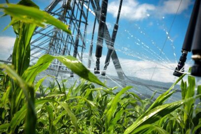 Utilizan en Holguín ciencia e innovación en la agricultura