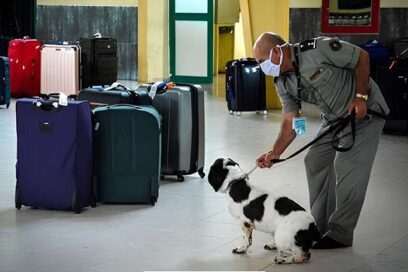 Reitera Díaz-Canel tolerancia cero a las drogas