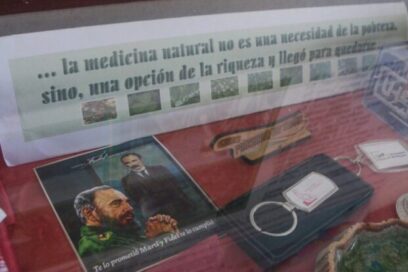 Medicina natural: Rescatando nuestras raíces