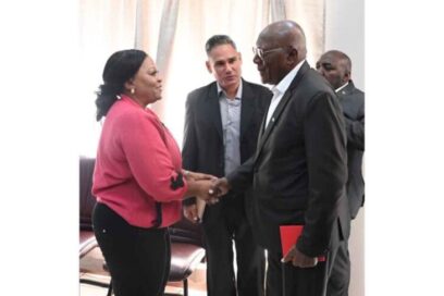 Dirigente del ANC dialoga en Sudáfrica con vicepresidente cubano