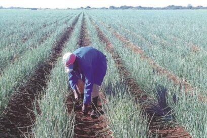Muchos más productos nacionales pueden tributar a la sostenibilidad del turismo