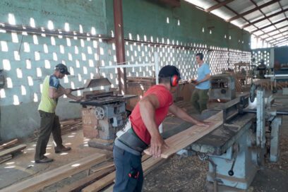 La madera de los trabajadores forestales