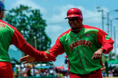 Leña verde apaga los humos