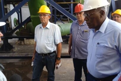 Evalúa Valdés Mesa marcha de los programas cañero y arrocero en Artemisa