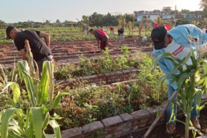 Festejo laboral por el Comandante en Jefe en Holguín