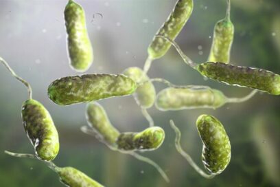 Advierten efecto de cambio climático en mayor presencia de bacterias