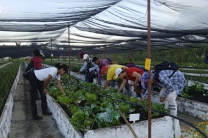 Homenaje con olor a tierra