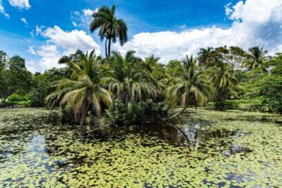 Parques Nacionales y turismo a la par en Cuba