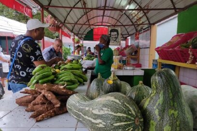 Verano con ambiente de control