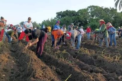 Teresa Amarelle en trabajo voluntario con federadas villaclareñas