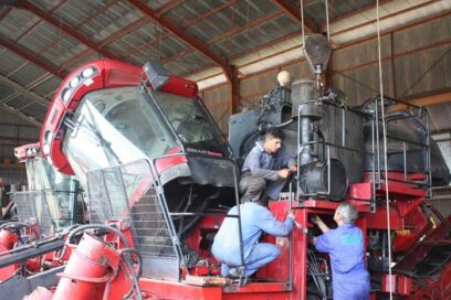 Economía en Artemisa con mucho por hacer