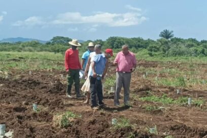 CTC demanda eficacia de movimientos emulativos en Parque Solar Fotovoltaico