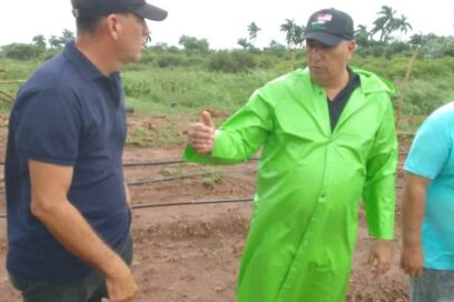 Ante lo caído: resurgir como el ave fénix