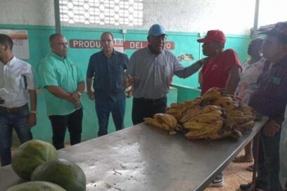 Chequea Valdés Mesa asuntos vitales relacionados con el desarrollo de La Habana