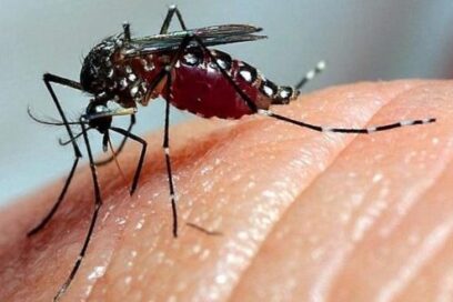 Casos sospechosos de dengue y oropouche mantienen alza en Cuba