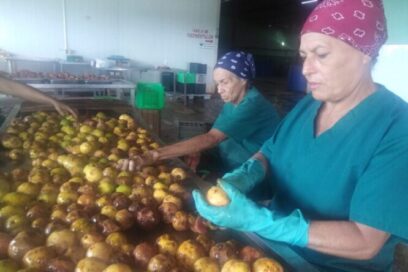Día del Trabajador Agropecuario: Por más alimentos