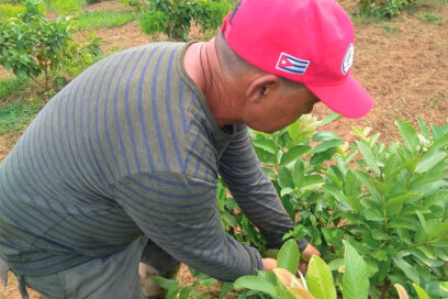 Euclides: guajiro por más hectáreas