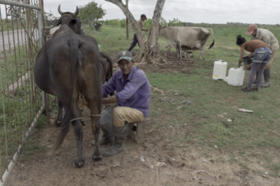Agropecuarios pinareños por más