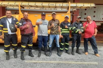 Pinar en recuperación