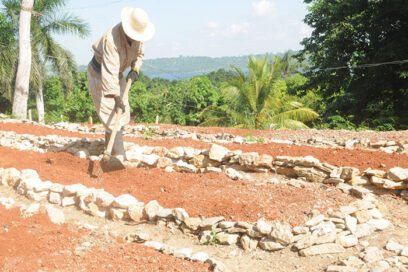 Celebra Artemisa Día del Trabajador Agropecuario