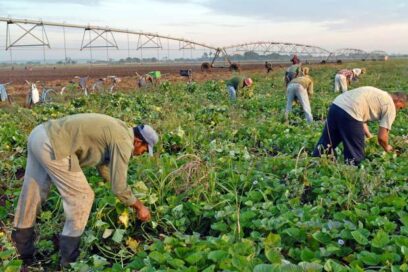 Cuando producir alimentos impacta también en el desarrollo social