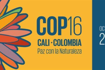 Cuba presentará Programa Nacional sobre Diversidad Biológica en COP16
