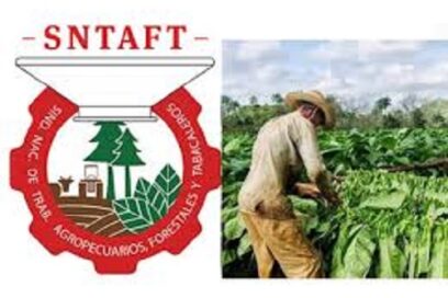 Por mayores resultados agrícolas convoca el Sindicato de Trabajadores Agropecuarios Forestales y Tabacaleros