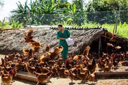 Mujeres emprendedoras, gestoras de su futuro