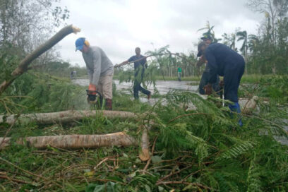 Desde Pinar del Río, con batas, cascos y motosierras para sanar en Artemisa y La Habana