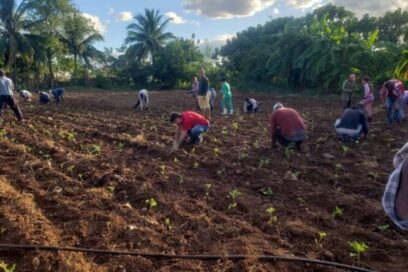 Matanceros honran primer trabajo voluntario liderado por el Che