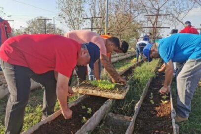 “Por Cuba Juntos Creamos»: sábado 23 de noviembre jornada nacional de trabajo voluntario