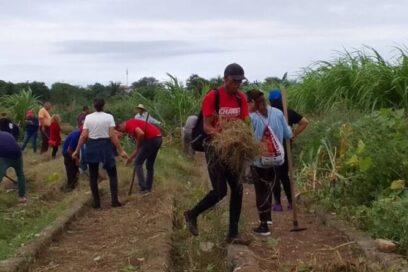 Entre canteros, siembras y limpiezas