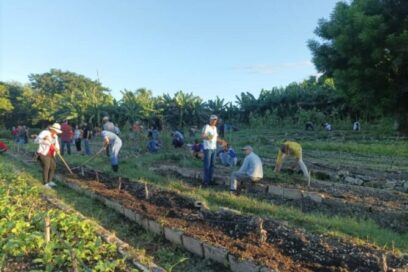 Contabiliza CTC holguinera amplios aportes productivos del movimiento obrero durante el 2024