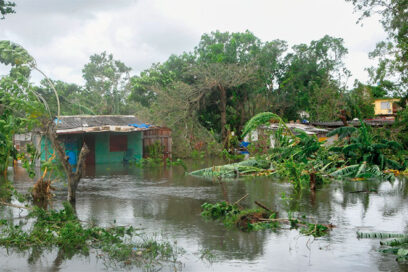 Devolvernos nuestra Artemisa