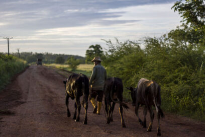 Proteger la masa ganadera exige mayor integración en nuestros campos