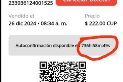 EN 500 CARACTERES Información para autoconfirmar en Viajando