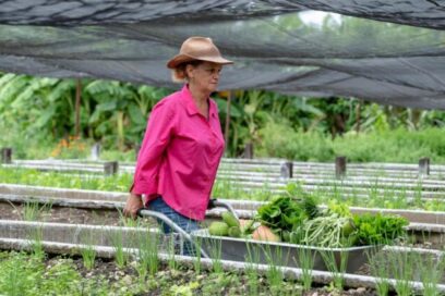Sistemas alimentarios locales disminuyen importaciones