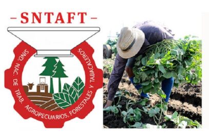 Un aniversario con pasos hacia adelante