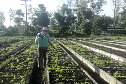 Agricultores convocan a Jornada 22 Congreso