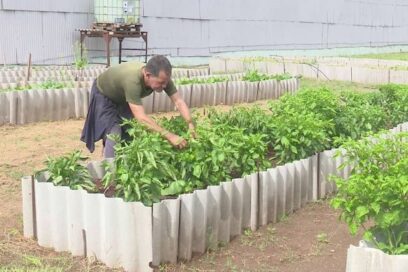 Autonomía alimentaria en la Universal de Matanzas